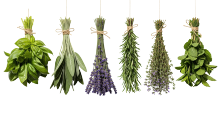 Fresh bundles of aromatic herbs tied with twine, suspended on a white studio background with soft lighting, concept of natural wellness