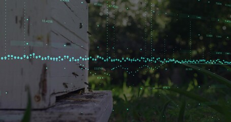 Showing weathered wooden hive box attracting bees in garden, with digital overlay, copy space