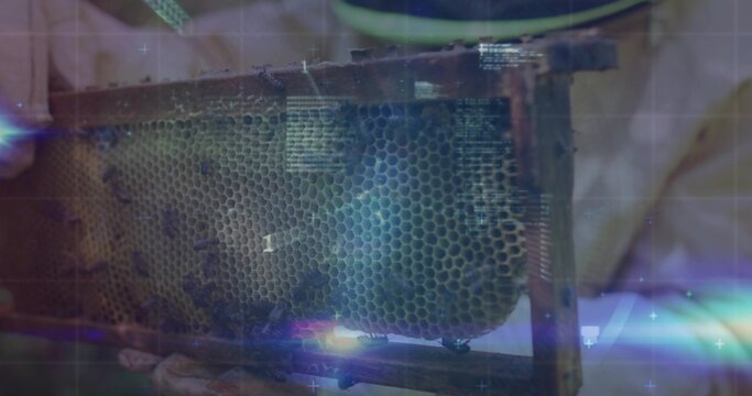 Beekeeper wearing protective gear holding honeycomb frame in apiary, with bees and grid overlay