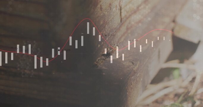 Aged beam corner displaying white candlestick bars and red trend line near ground, with soil debris