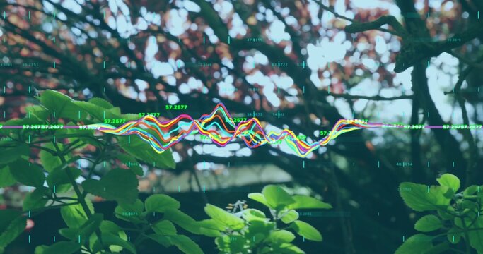 Showing colorful waveform overlay in forest edge with numeric data, green shrubs and red branches