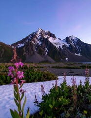 Snowy mountain range at dawn with wildflowers