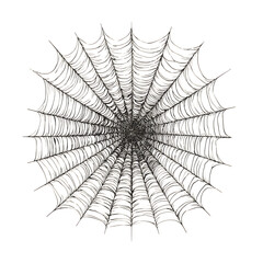 Fototapeta premium Intricate spiderweb pattern isolated on transparent background