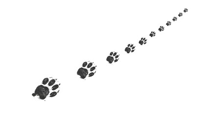 Tranquil Trail: A captivating array of delicate paw prints leads the viewer on an evocative journey, whispering tales of the wild.