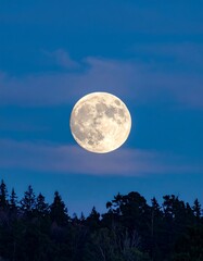 Fototapeta premium Full moon rising over dark silhouettes of trees