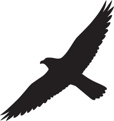 "Hawk Silhouette Flying Isolated on White Background – Minimalist Bird of Prey Vector for Wildlife and Freedom Themes"