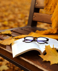Open book with reading glasses on a wooden bench surrounded by autumn leaves. Cozy fall atmosphere. Selective focus.