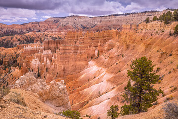 Bryce Canyon National Park, Utah, USA