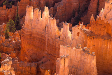Transparent rocks in Bryce Canyon National Park