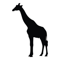 A striking black giraffe form is beautifully presented as a silhouette