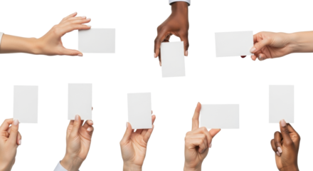 Multiple feminine hands of varying ages and diverse skin tones hold matte white cards on a seamless transparent background, showcasing versatility for business communication