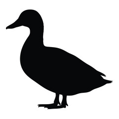 A striking black duck profile against a white background silhouette