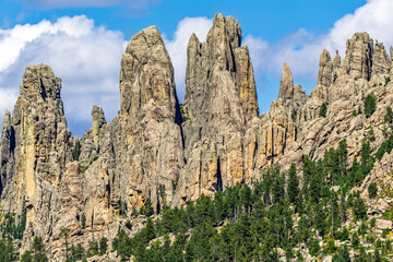 Cathedral Spires along the Needles highway in the Black Hills mountains within Custer State Park, South Dakota. The Needles are a region of eroded granite pillars, towers, and spires.