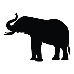 A striking black shape of an elephant stands prominently silhouette