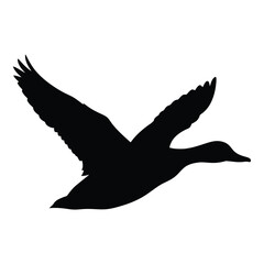 A striking black bird taking flight with outstretched wings silhouette