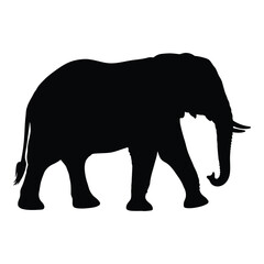 Fototapeta premium A striking black shape of an african elephant a bold silhouette