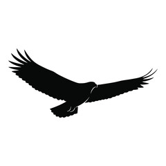 A majestic bird soars dynamically through the sky a striking silhouette
