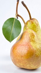 Two pears with leaf