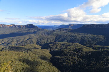Obraz premium blue mountains, australia