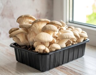 Fresh oyster mushrooms in a black plastic tray