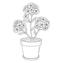Botanical line drawing of potted flowering plant with clustered blooms and lance-shaped leaves on a white background. EPS 10.