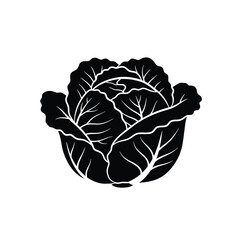 Stylized silhouette of cabbage with detailed overlapping leaves on a white background. EPS 10.