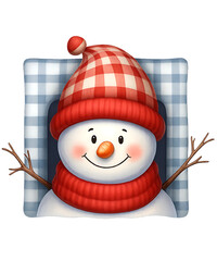 Plaid Pillow Snowy