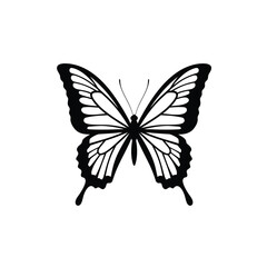 Elegant butterfly silhouette with ornate symmetrical wings on a white background. EPS 10.