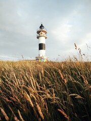 A lighthouse on the coast, with the fields of wheat in the foreground and a clear sky in the background.