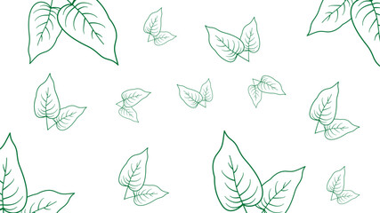 Tropical Leaf Patern With Transparent Background