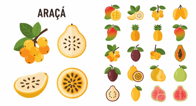 Fruits explore different types of ara&ccedil;a fruit and tropical fruits with vibrant colors and unique shapes vector art vector