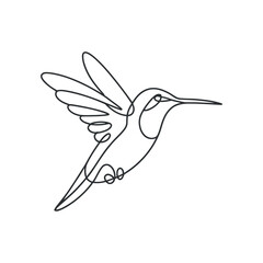 Hummingbird Continuous Line Art Vector: Minimalist Bird Drawing in Flight on Clear