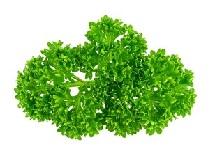 Fresh parsley sprigs, vibrant green