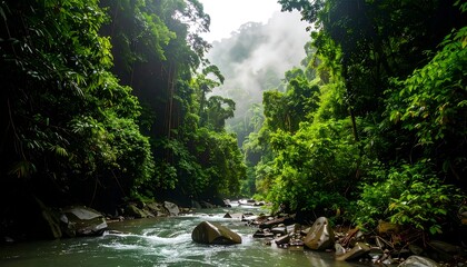 Lush green canyon river landscape with mist
