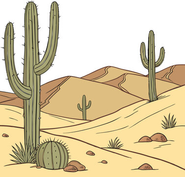 A saguaro cactus stands tall in the hot Arizona desert landscape under a summer sun