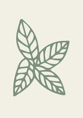 Illustration Hand Draw Doodle Mint Leaf Natural Tea