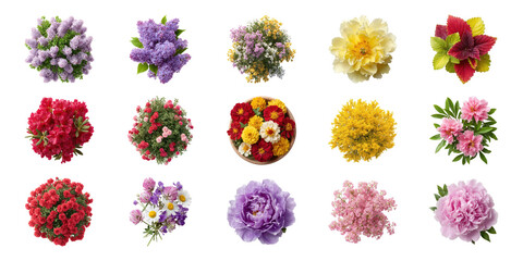 Colorful Flower Bouquet Collection Set. Floral Arrangement And Decoration Ideas Collection Isolated On Transparent Background