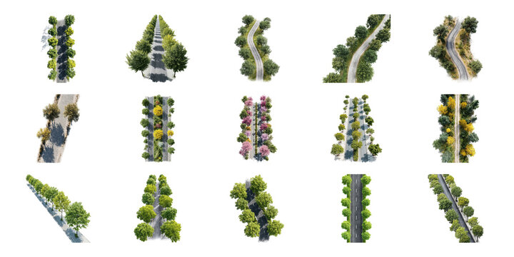Tree-Lined Roads Aerial View Set. Scenic Pathways And Nature Collection Isolated On Transparent Background