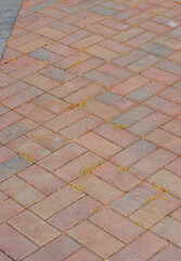 Brick patterned driveway