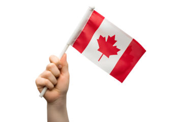 Hand holding canadian flag isolated on white background