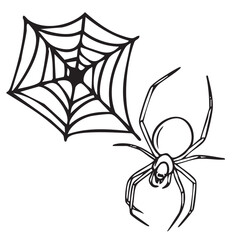 Hand drawn vector doodle of Halloween spiders, web