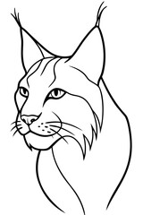Obraz premium Lynx head illustration in simple line art style 