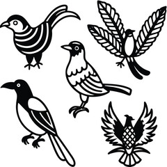 Vibrant tropical bird collection featuring exotic avian wildlife in a colorful graphic design set