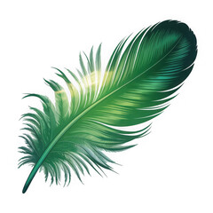 Fototapeta premium Green Feathers Illustration Isolated Clipart