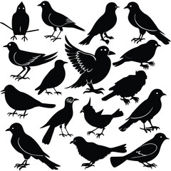 Collection of diverse bird silhouettes perched on branches and wires