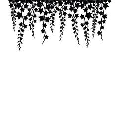 Black ivy vines with star shaped leaves hanging down