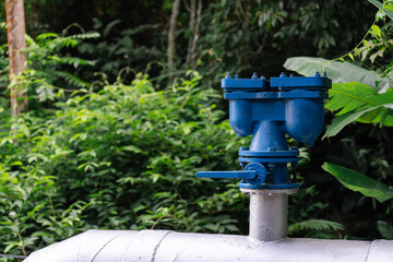Close up of a blue industrial valve on a metal pipeline surrounded by dense tropical vegetation.