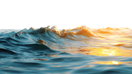 Ocean waves cresting, golden light isolated on white background