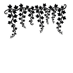 Black silhouette of hanging ivy vines with leaves plant