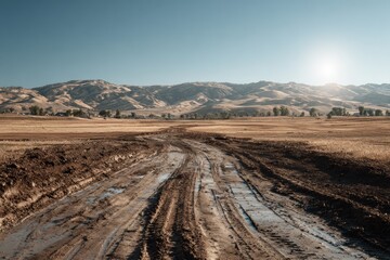 Muddy dirt road stretching across dry fields with hills and bright sun in the background